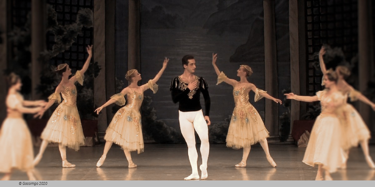 Scene 7 from the ballet "Swan Lake", photo 15