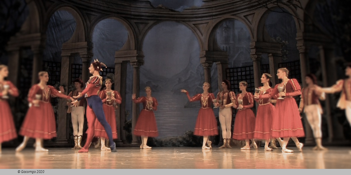 Scene 8 from the ballet "Swan Lake", photo 14