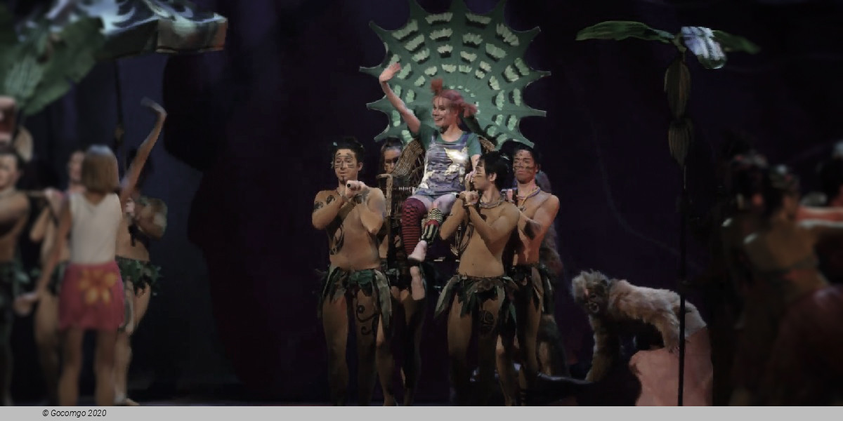 Pippi Longstocking, photo 9