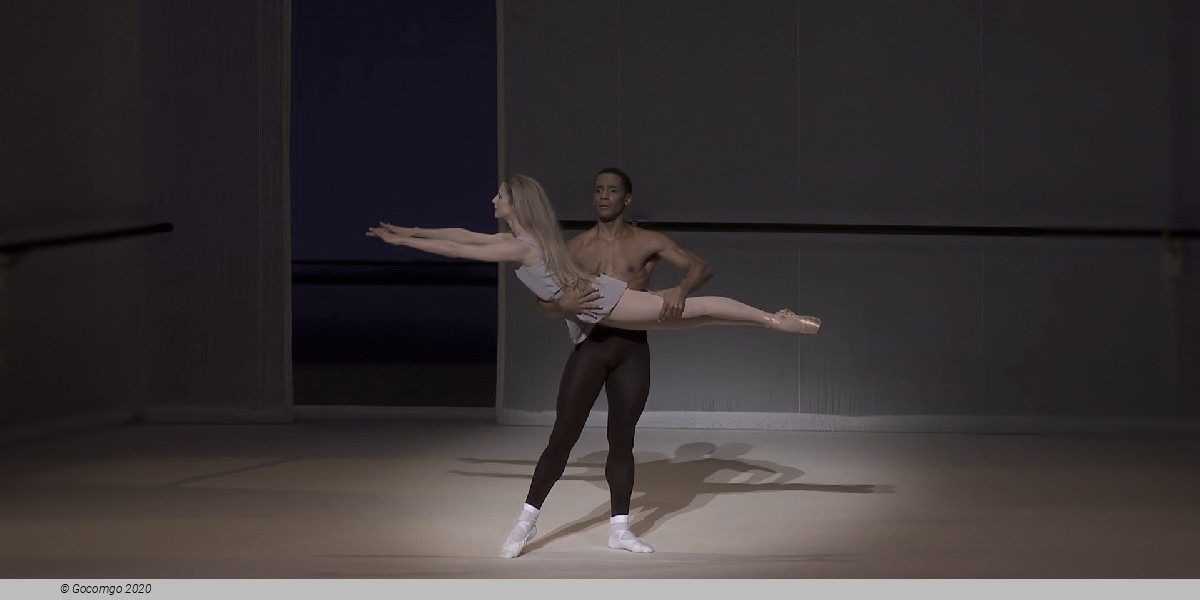 Scene 3 from the ballet "L'Après-midi d'un faune", photo 7