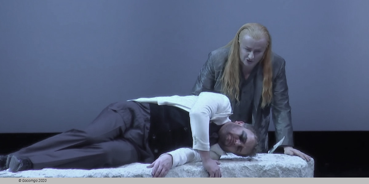 Scene 2 from the opera "Das Rheingold", photo 8