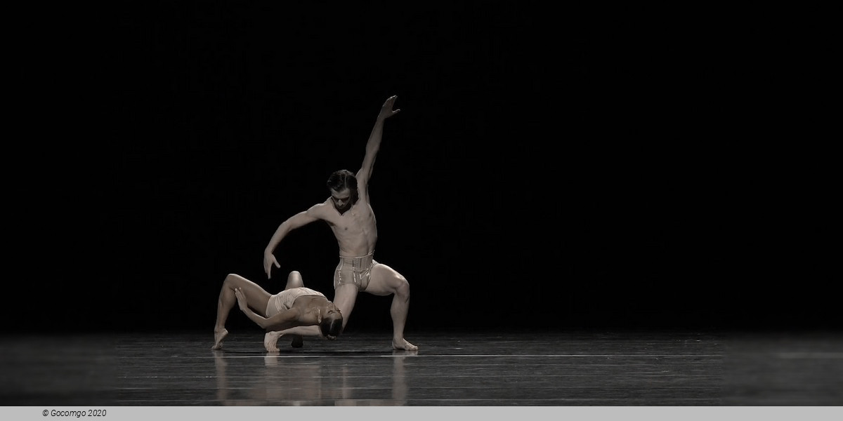 Scene 1 from the modern ballet "Petite Mort", photo 11