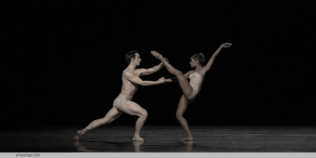 Scene 3 from the modern ballet "Petite Mort", photo 10