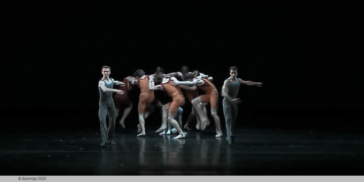 Concerto DSCH, photo 7