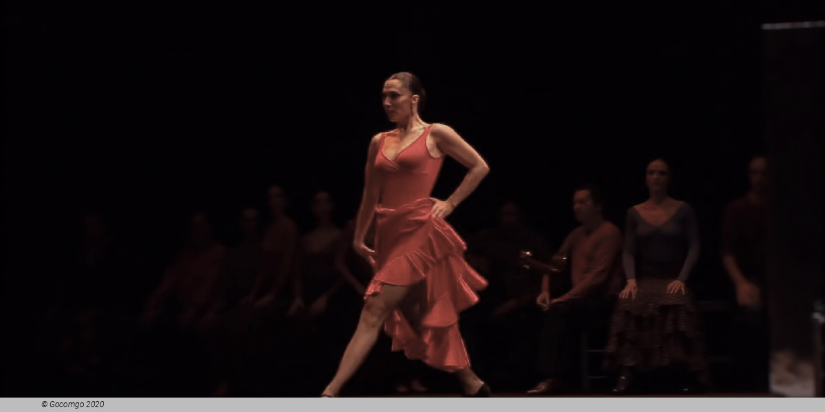 Scene 7 from the ballet "Carmen", photo 8