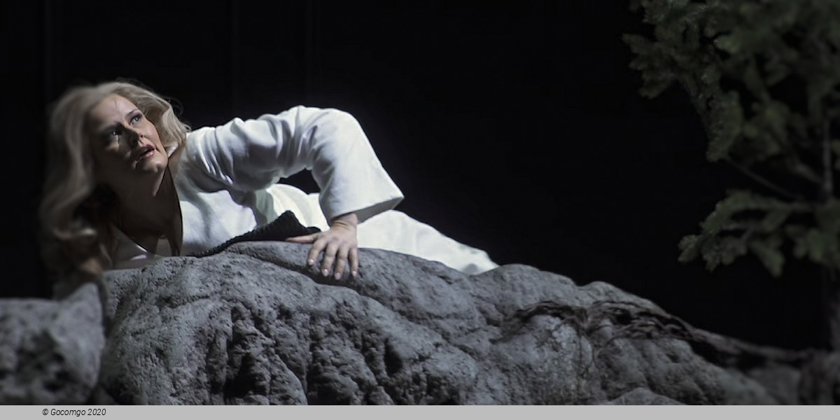 Scene 6 from the opera "Siegfried", photo 12