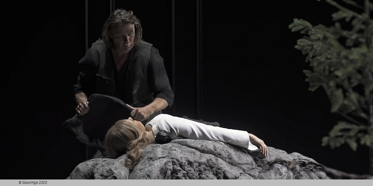 Scene 8 from the opera "Siegfried", photo 9