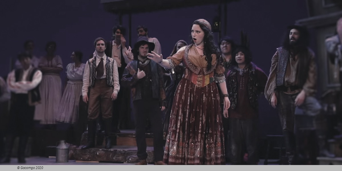 The Gypsy Baron, photo 11