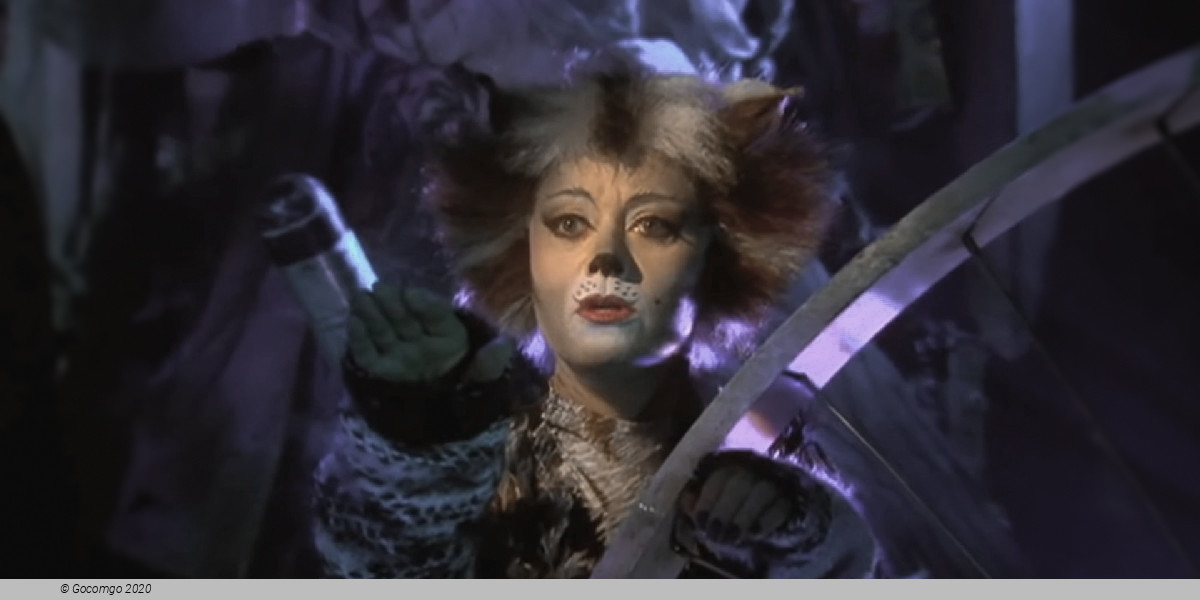 Scene 3 from the musical "Cats"