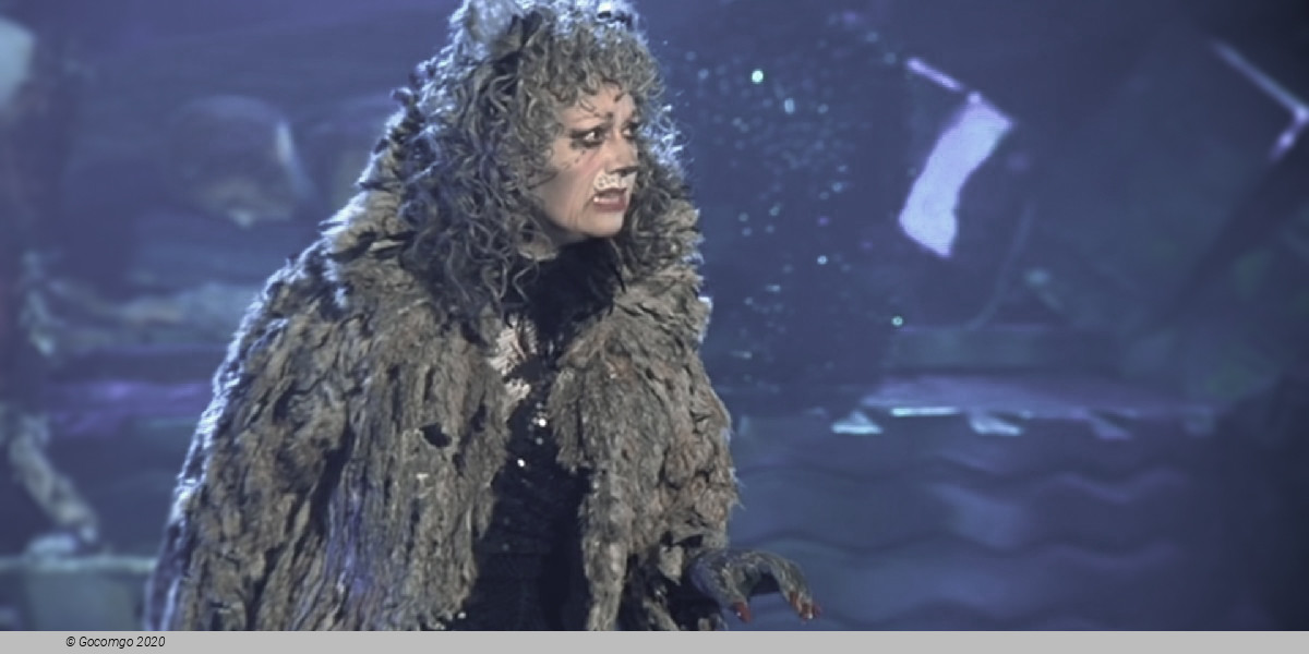 Scene 5 from the musical "Cats"