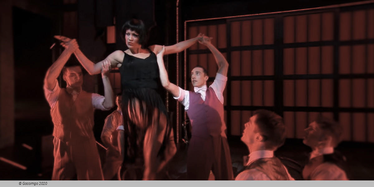 Scene 5 from the musical "Singin' in the Rain", photo 5