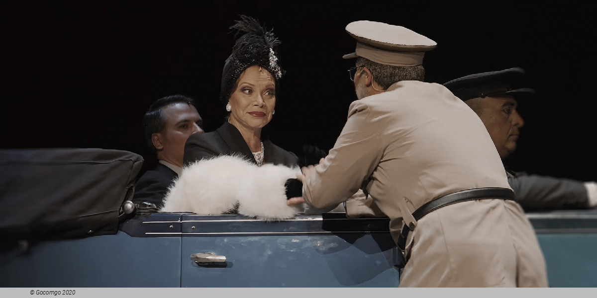 Scene 6 from the musical "Sunset Boulevard", photo 7